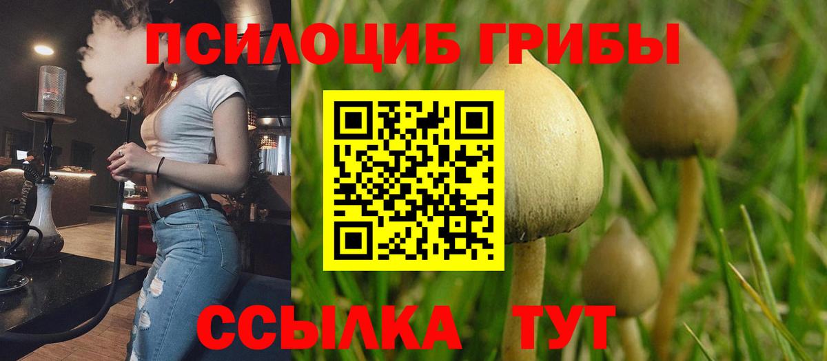 Кизилюрт  Галлюциногенные грибы MAGIC MUSHROOMS  Вход с VPN  Псилоцибиновые грибы мицелий 